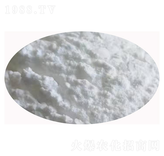 ���Ϸ�ĩ-�Y�׻���