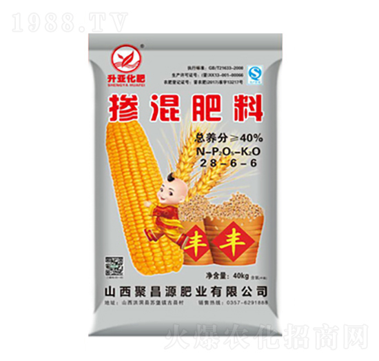 �������28-6-6-����-�S��ʘI(y��)