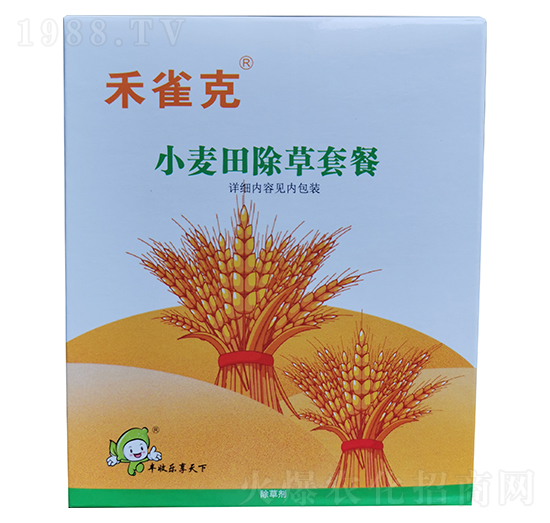 С�������ײ�-��ȸ��-�S�՘�