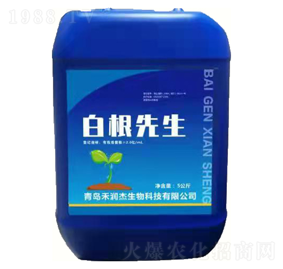 �׸�����-�����S