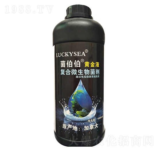 �ͺ�΢�������-�������S��Һ-��������