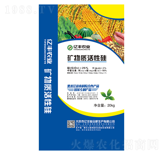 �V���|(zh��)���Թ�-�|�S