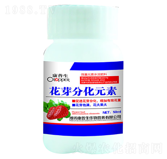 ��ѿ�ֻ�Ԫ��-������