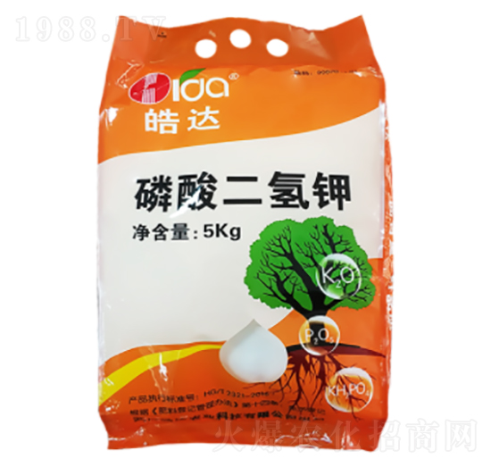 ��������-��_(d��)�r(n��ng)�I(y��)