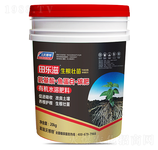 �����ᡤ�~(y��)���ס�̼��-�(l��)�̡���������-Ӣ���ֲ���