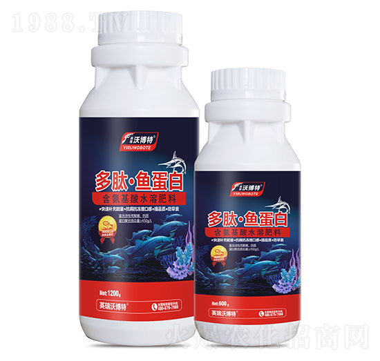 ���ġ��~����-Ӣ���ֲ���