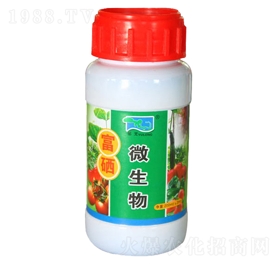 ΢���︻��-���d����