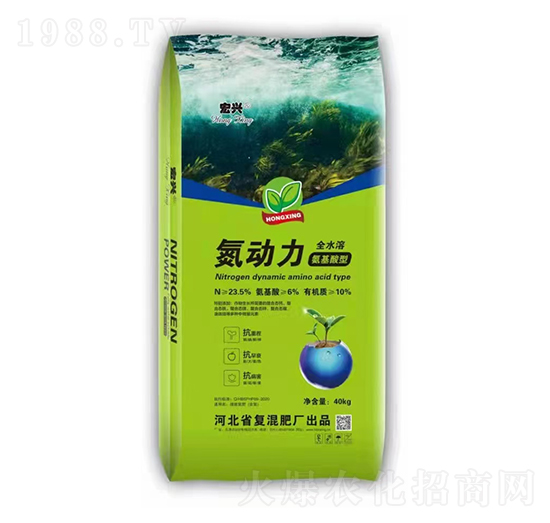 ������-���d-������