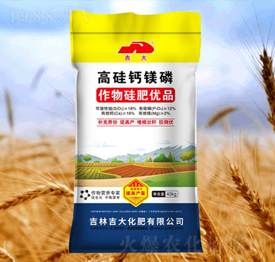 �߹��}�V��-����