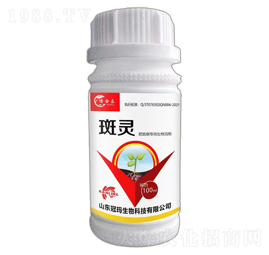 �а߲���(zhu��n)�������܄�-���`-�ڬ�����