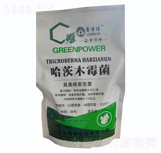 ����ľù��-�𸣵�