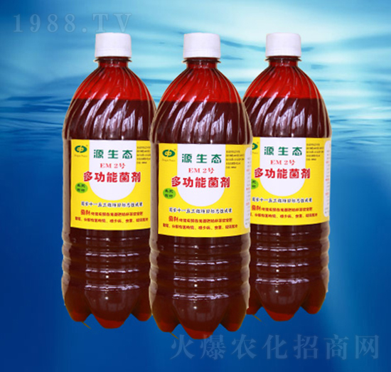 EM2̖(h��o)-��������