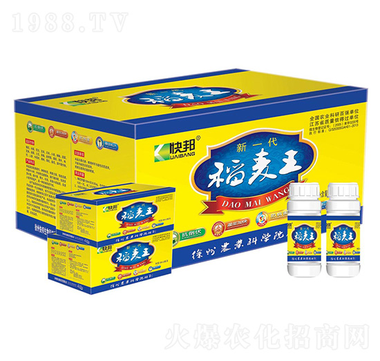 ��һ��������-�������