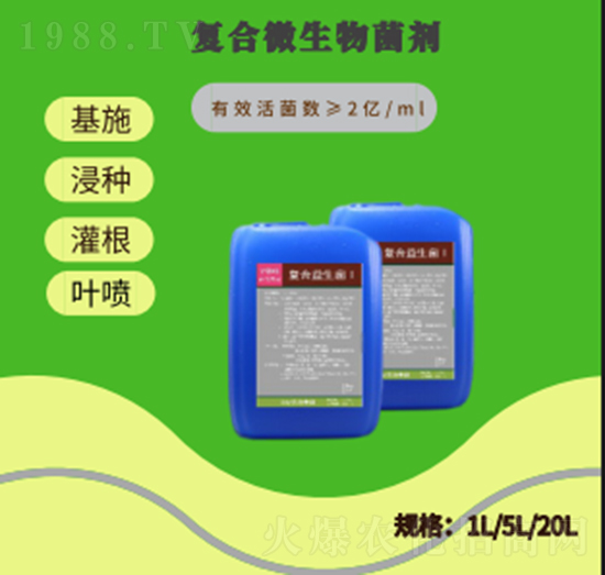 ��(f��)����������-�ɼo����