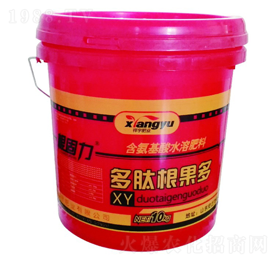 ���ĸ�����-����ʘI(y��)