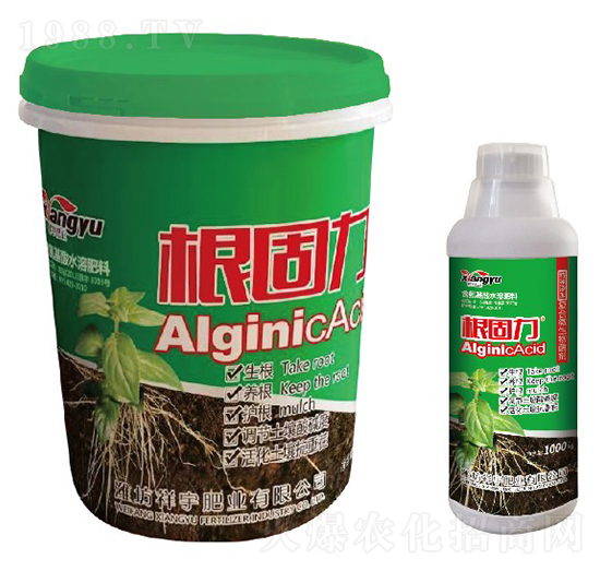 ��(f��)��΢�������-������-����ʘI(y��)