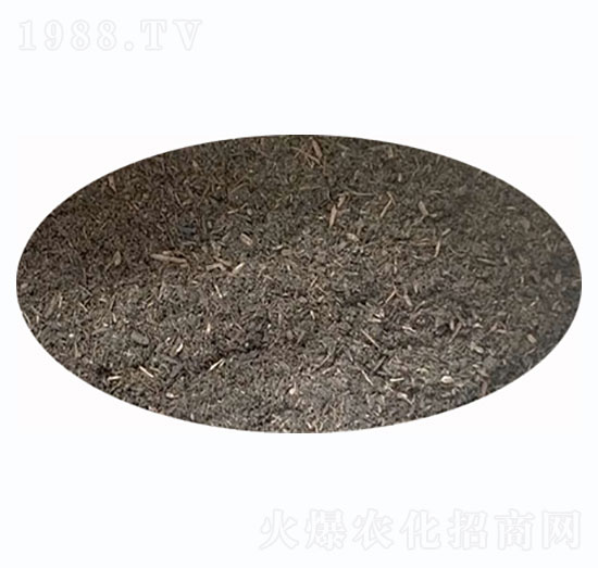 �嶼�۶����ЙC(j��)��-ʢ혈@