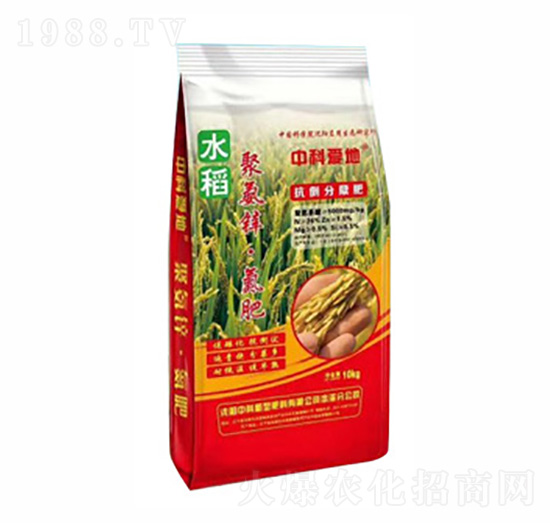 �пƐ۵ؾ۰��\������-�п�