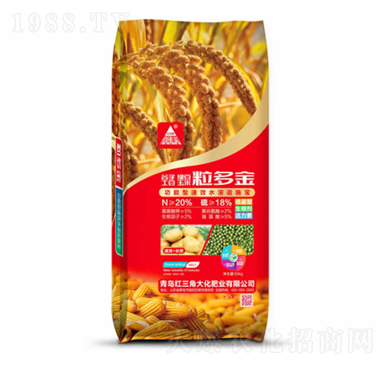 �����-�t���Ǵ�