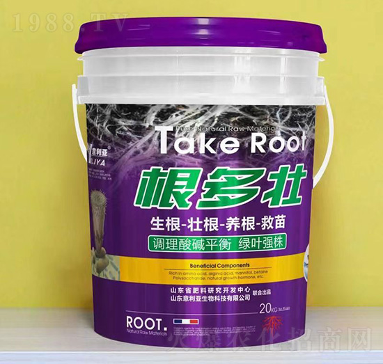 ������-������