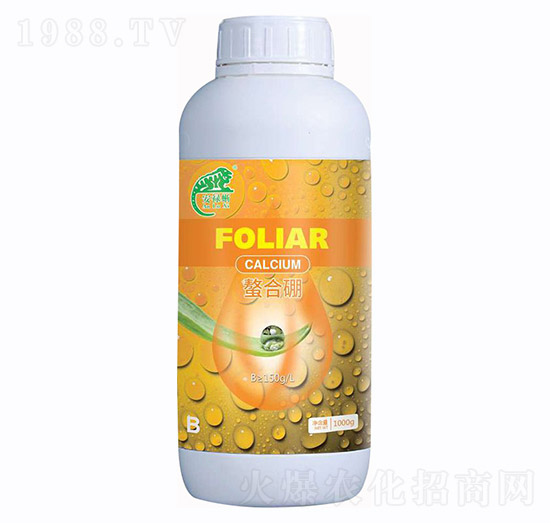 �����ᡤ������-�f(w��n)���r(n��ng)�I(y��)