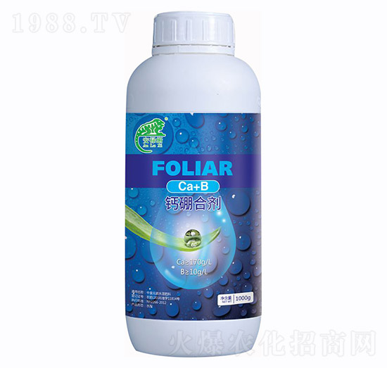 �����ᡤ�}��τ�-�f���r(n��ng)�I(y��)