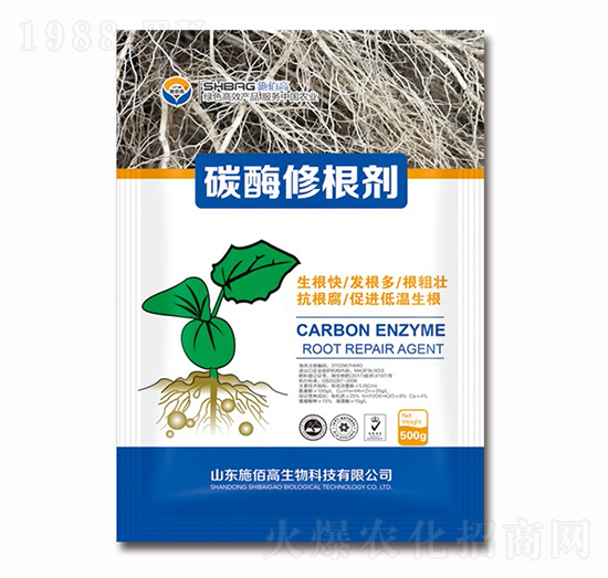 ̼ø�޸���-ʩ�۸�