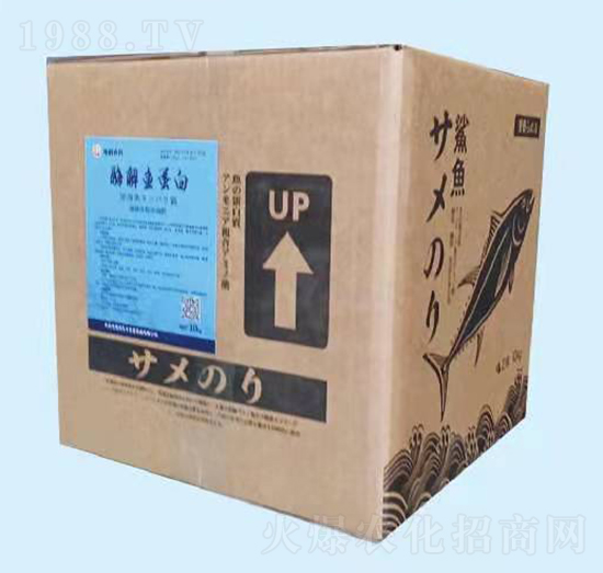 ø���~����ԭ�{-����(r��n)�f�S