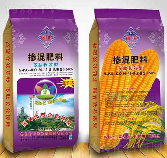 �����LЧ�͓������30-12-8-������ꖹ�