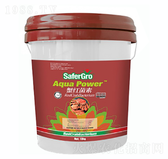 з�t����-�՝�����