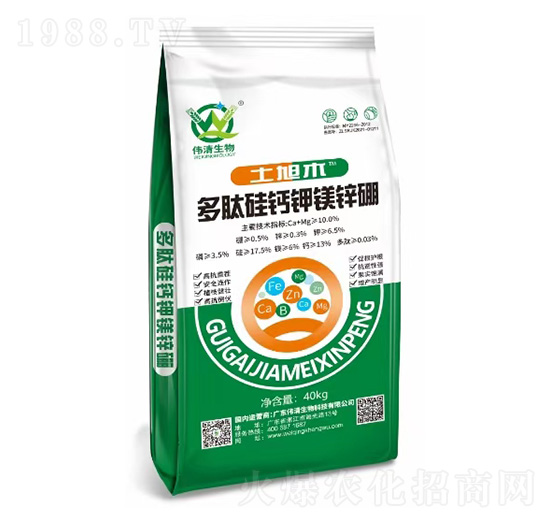 ���Ĺ��}��V�\��-��������