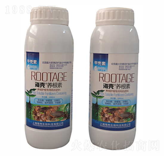 �����B(y��ng)����-��������