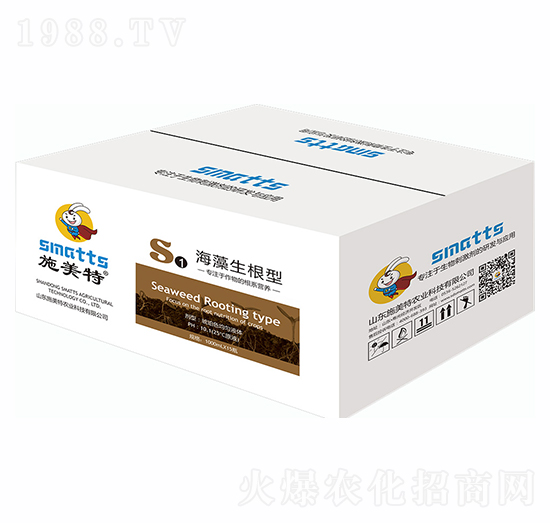 ����������S1-ʩ����