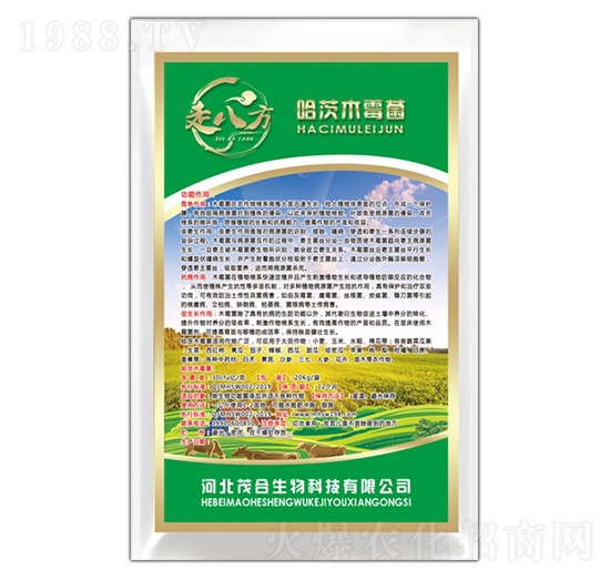 ����ľù��-�߰˷�-ï������