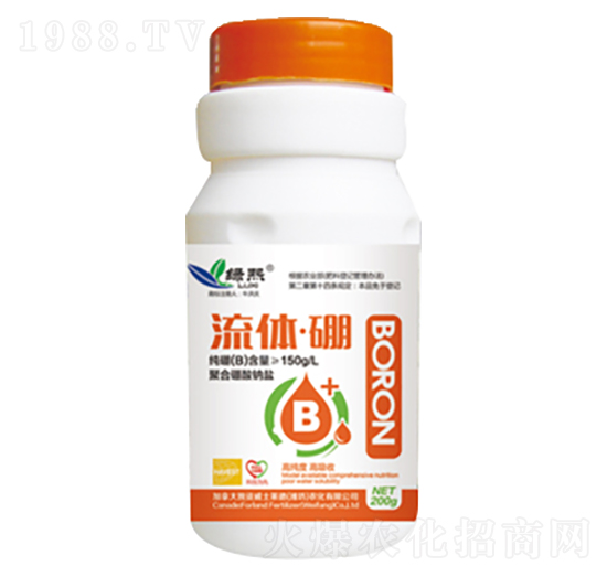 ���w��-�G��-��ʿ�R��