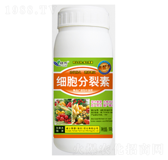 ����������-�G��-��ʿ�R��