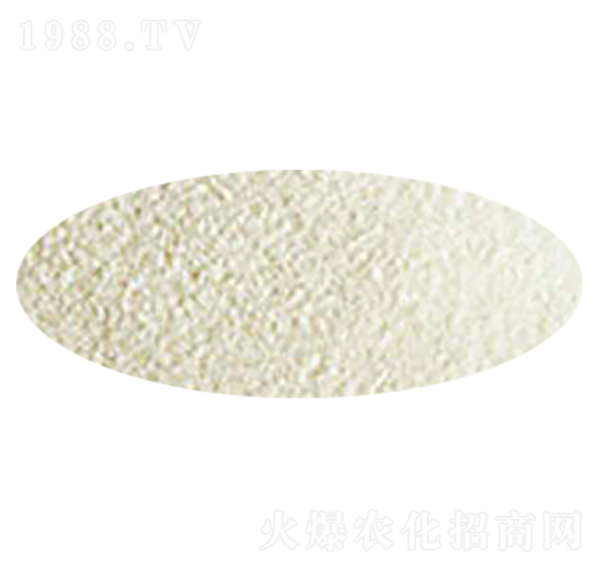 �׿��طۄ�-���ᭇ