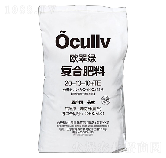 ������͏ͺϷ���20-10-10+TE-�W��G-�к̇��H