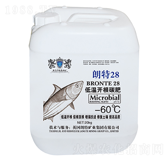 �͜��_��̼��-����28-Ӣ����