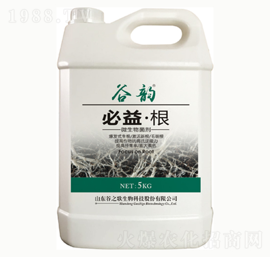 �����-���-��֮��