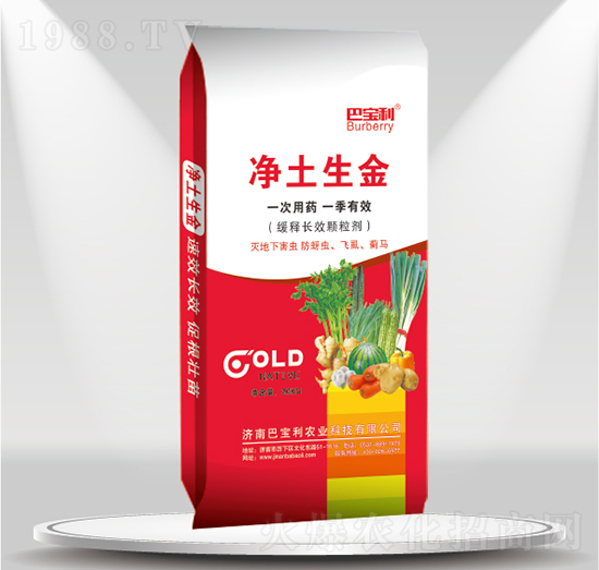 ����LЧ�w����-��������-�͌����r