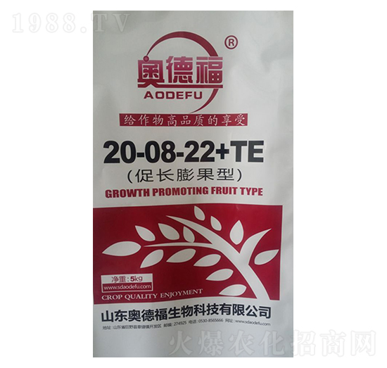 ���L(zh��ng)�����20-8-22+TE-�W�¸�