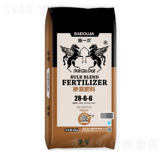 �������28-6-6-�ٶ���