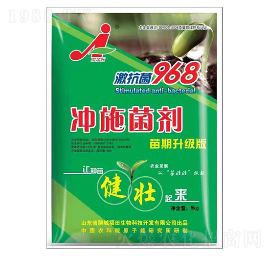 �_ʩ����-��������