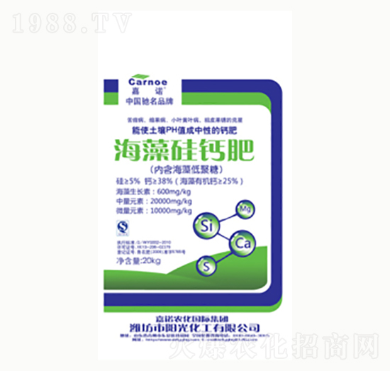 ������}��-ꖹ⻯��