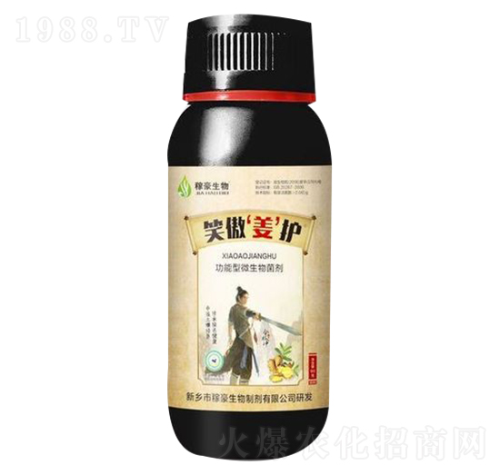 ������΢�������-Ц�����o-�ں�����