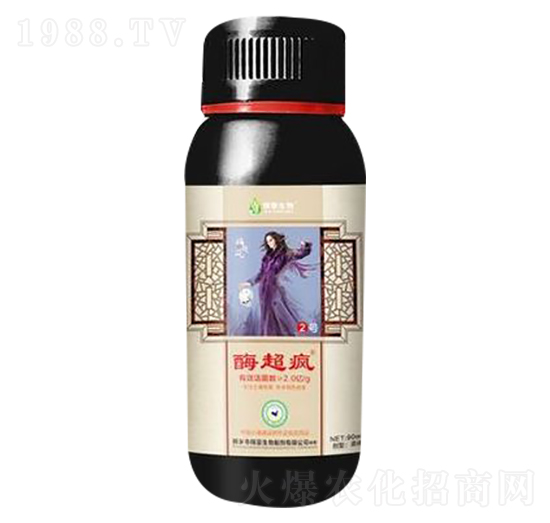 ø����-�ں�����