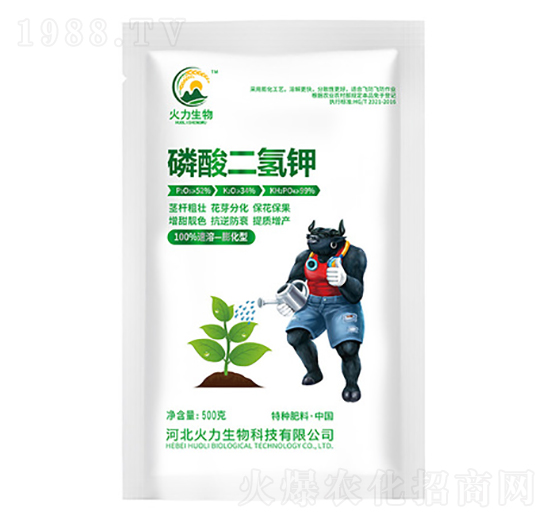 500g��������-��������