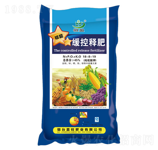 ����ጷ�18-8-19-����