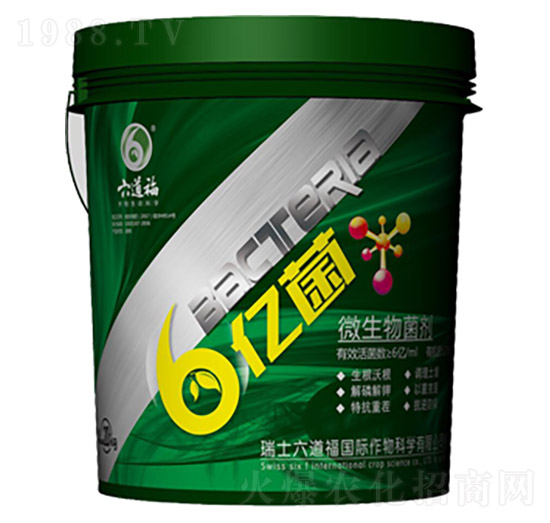 ΢�������-���|��-������